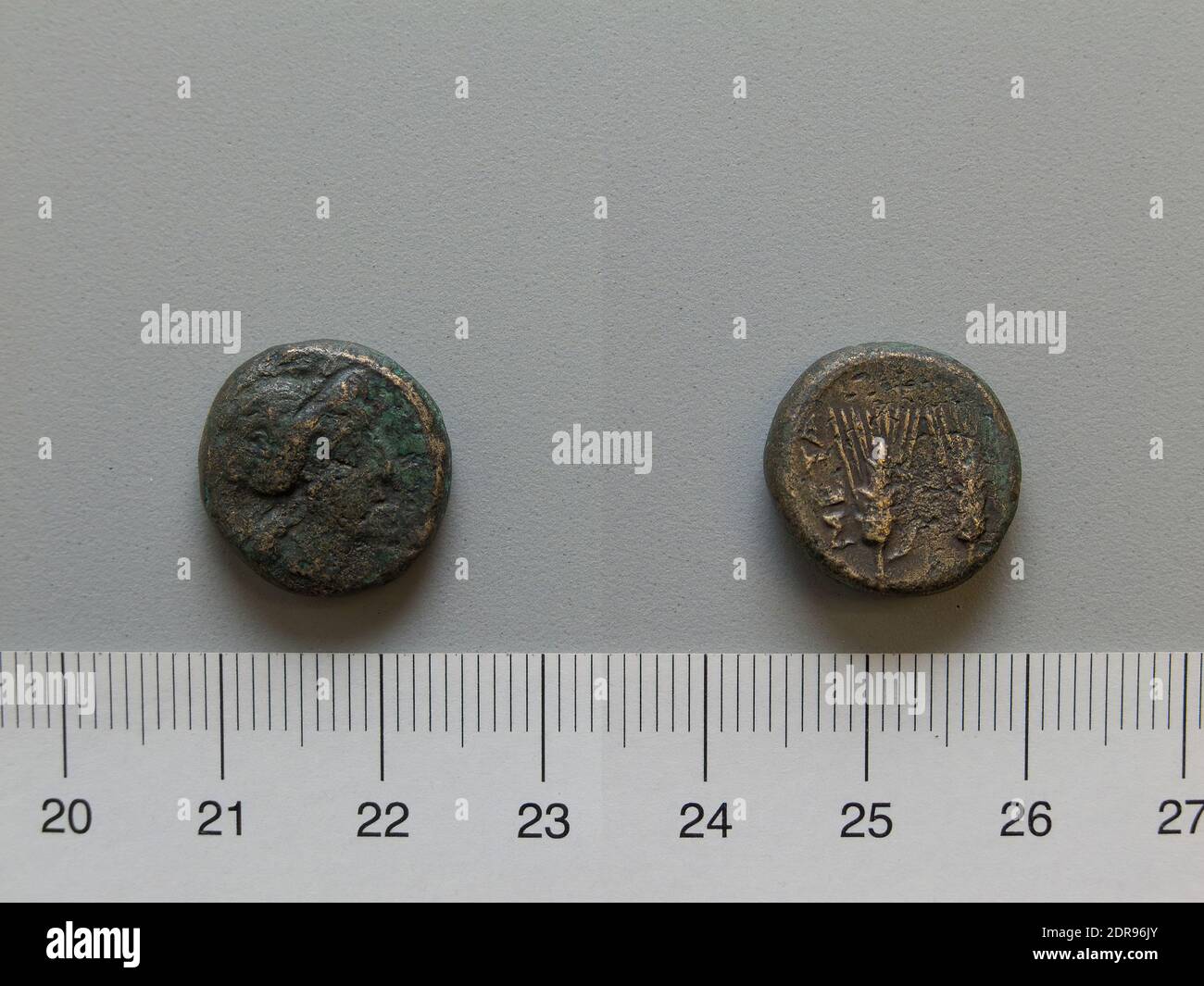 Mint: Metapontum, Fraction from Metapontum, 250–200 B.C., Bronze, 5.21 g, 7:00, 16 mm, Made in Metapontum, Lucania, Greek, 3rd century B.C., Numismatics Stock Photo
