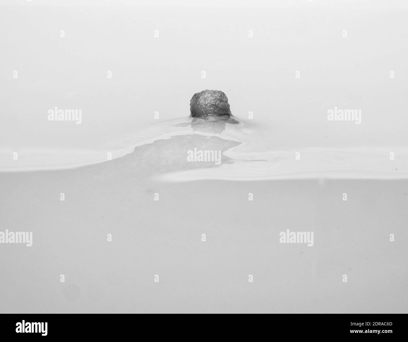 Nipple women Black and White Stock Photos & Images Alamy