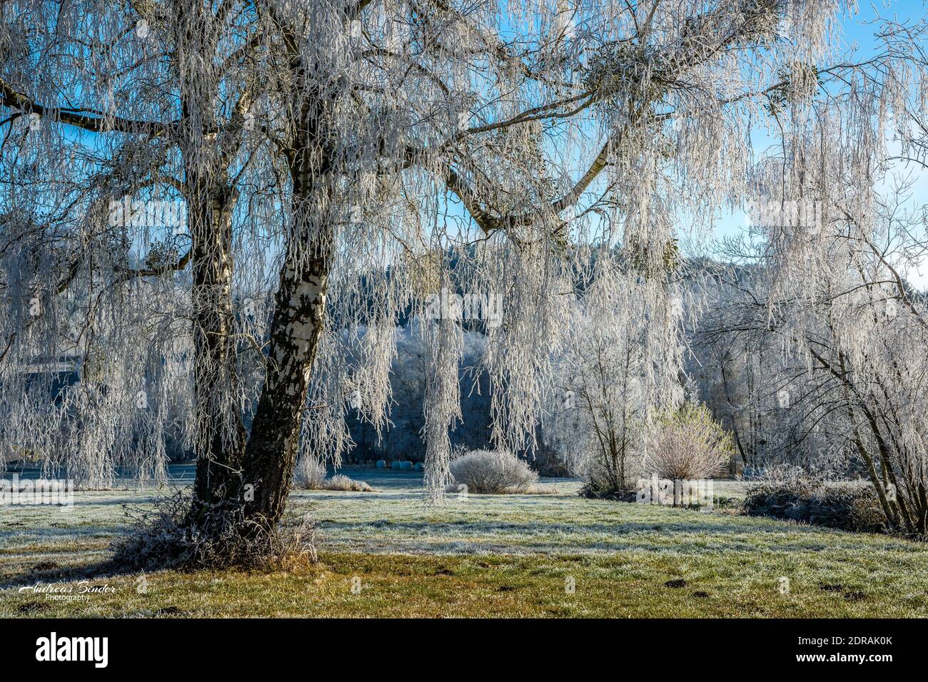 Morning frost in the southern Waldviertel Stock Photo