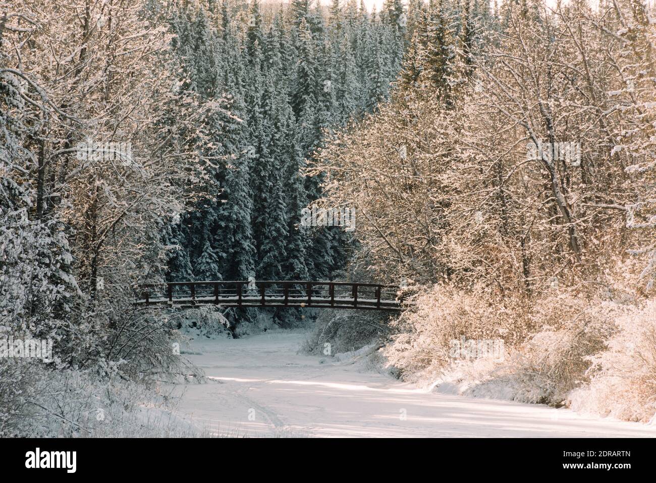 Snowy View Of A Pedestrian Bridge In A Forest Stock Photo - Alamy