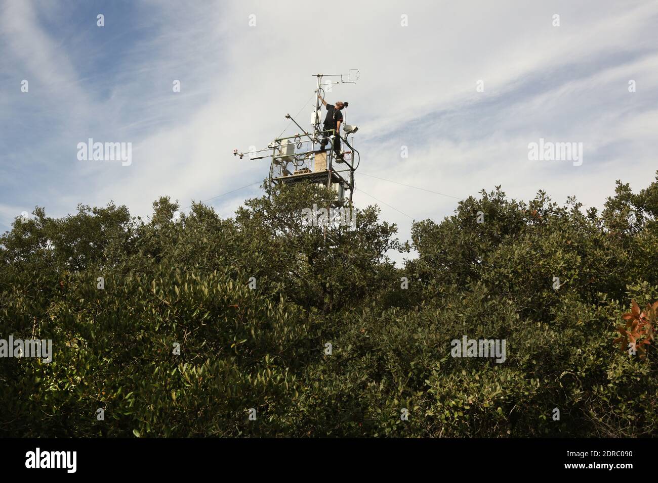 brassière femme coton post opératoire