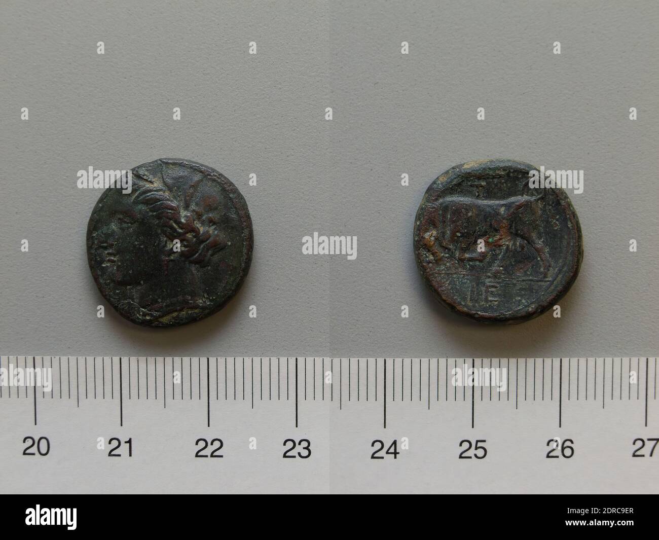Mint: Syracuse, Coin from Syracuse, 274–216 B.C., Copper, 6.19 g, 7:00, 20 mm, Made in Syracuse, Sicily, Greek, 3rd century B.C., Numismatics Stock Photo