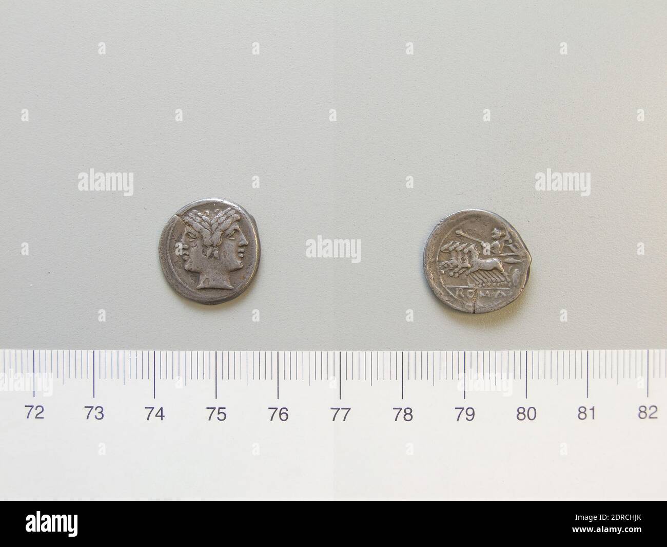 1 2 quadrigatus hires stock photography and images Alamy