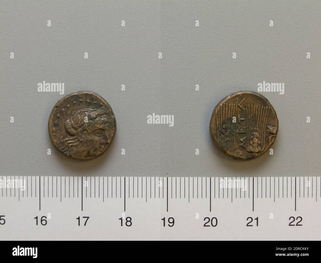Mint: Metapontum, Fraction from Metapontum, 250–200 B.C., Bronze, 4.62 g, 11:00, 17 mm, Made in Metapontum, Lucania, Greek, 3rd century B.C., Numismatics Stock Photo