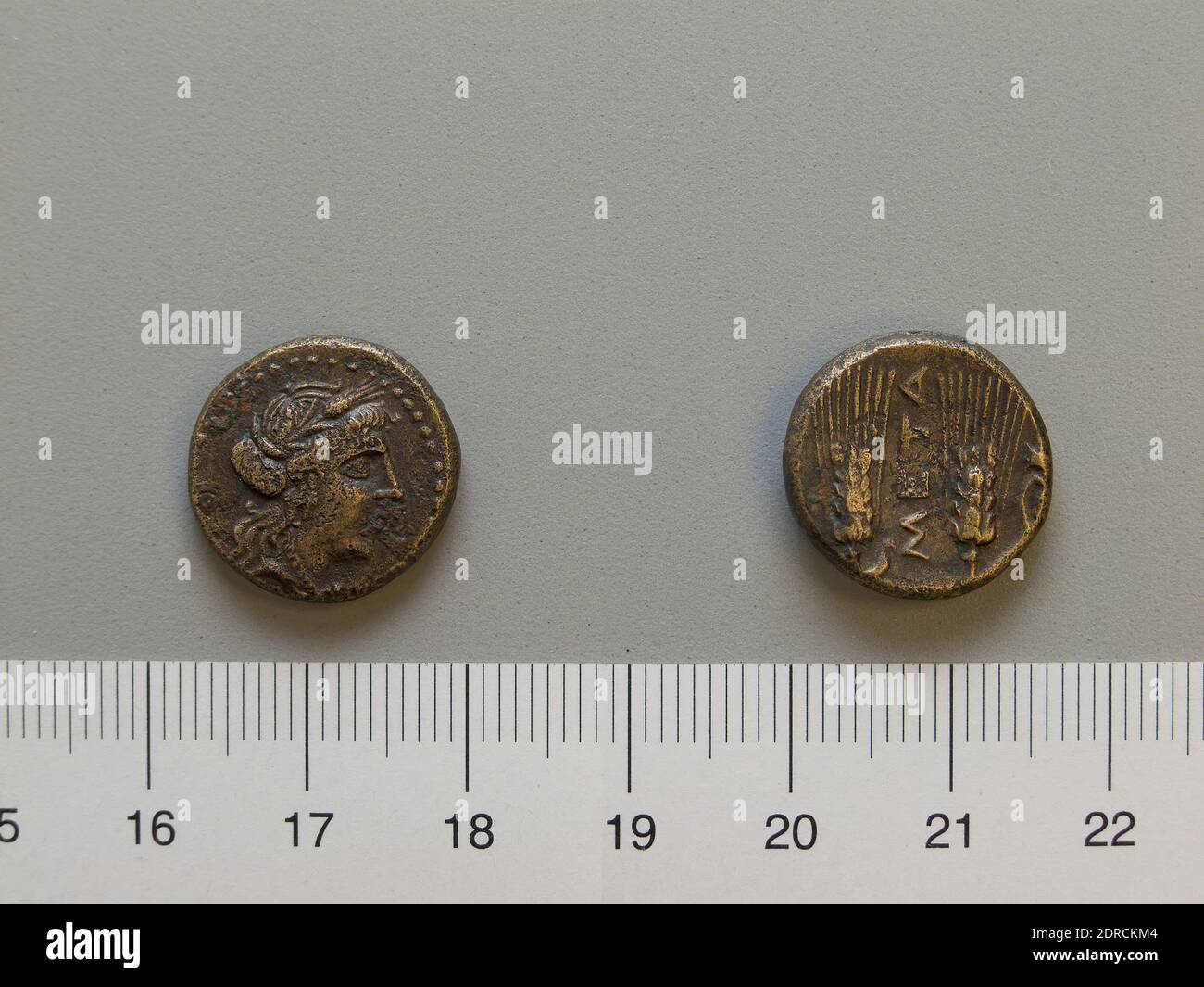 Mint: Metapontum, Fraction from Metapontum, 250–200 B.C., Bronze, 4.55 g, 6:00, 17 mm, Made in Metapontum, Lucania, Greek, 3rd century B.C., Numismatics Stock Photo
