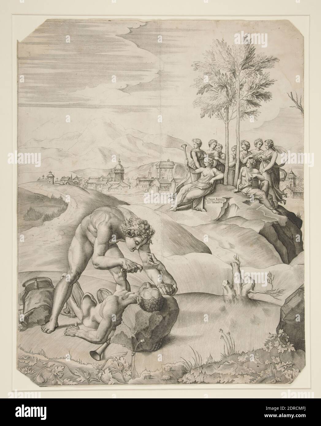 Artist: Giulio Sanuto, Italian, active in Venice 1540–1580, Flaying of Marsyas, Engraving, sheet: 52.3 × 41 cm (20 9/16 × 16 1/8 in.), Made in Italy, Italian, 16th century, Works on Paper - Prints Stock Photo