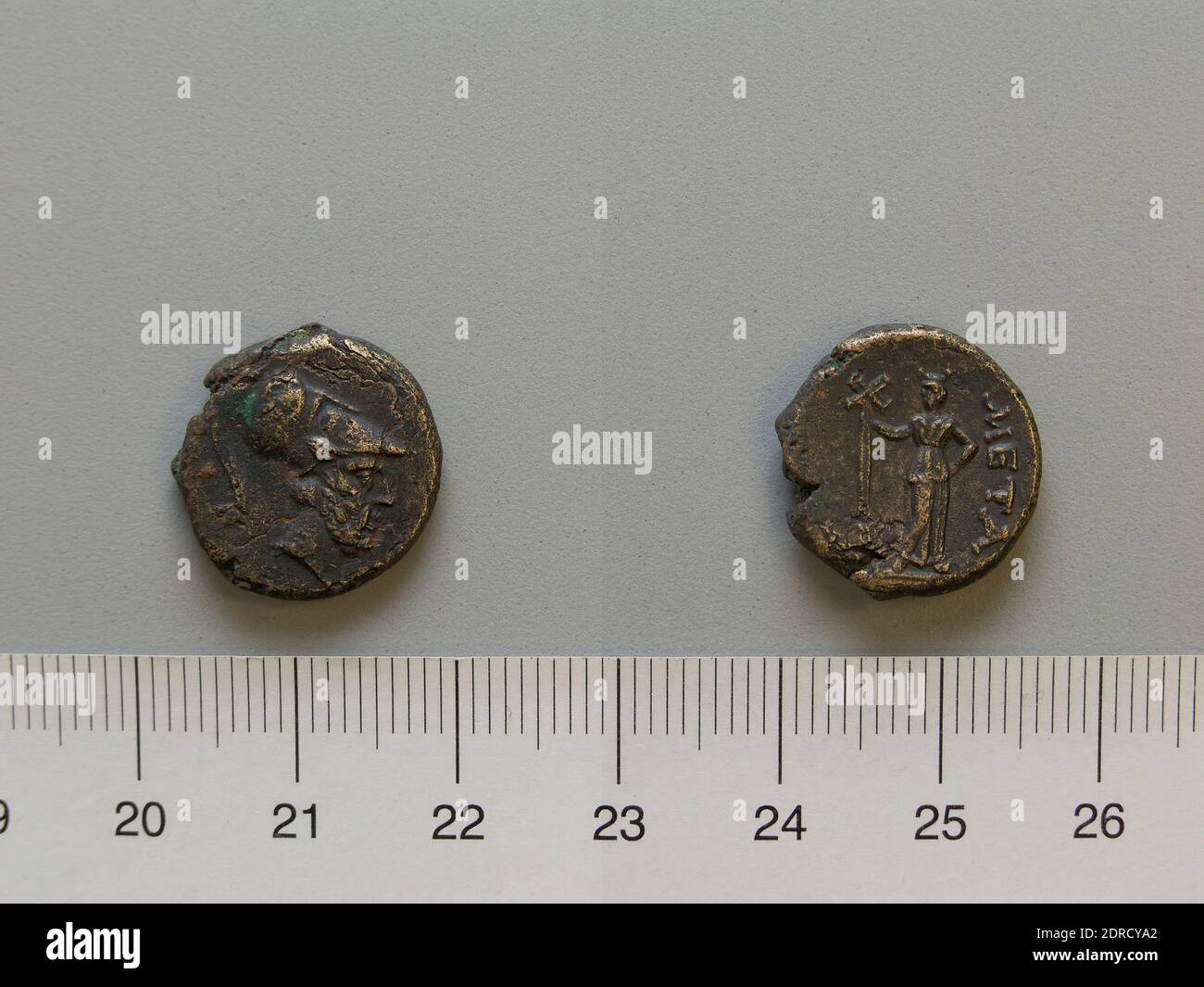 Mint: Metapontum, Fraction from Metapontum, 250–200 B.C., Bronze, 4.56 g, 17 mm, Made in Metapontum, Lucania, Greek, 3rd century B.C., Numismatics Stock Photo