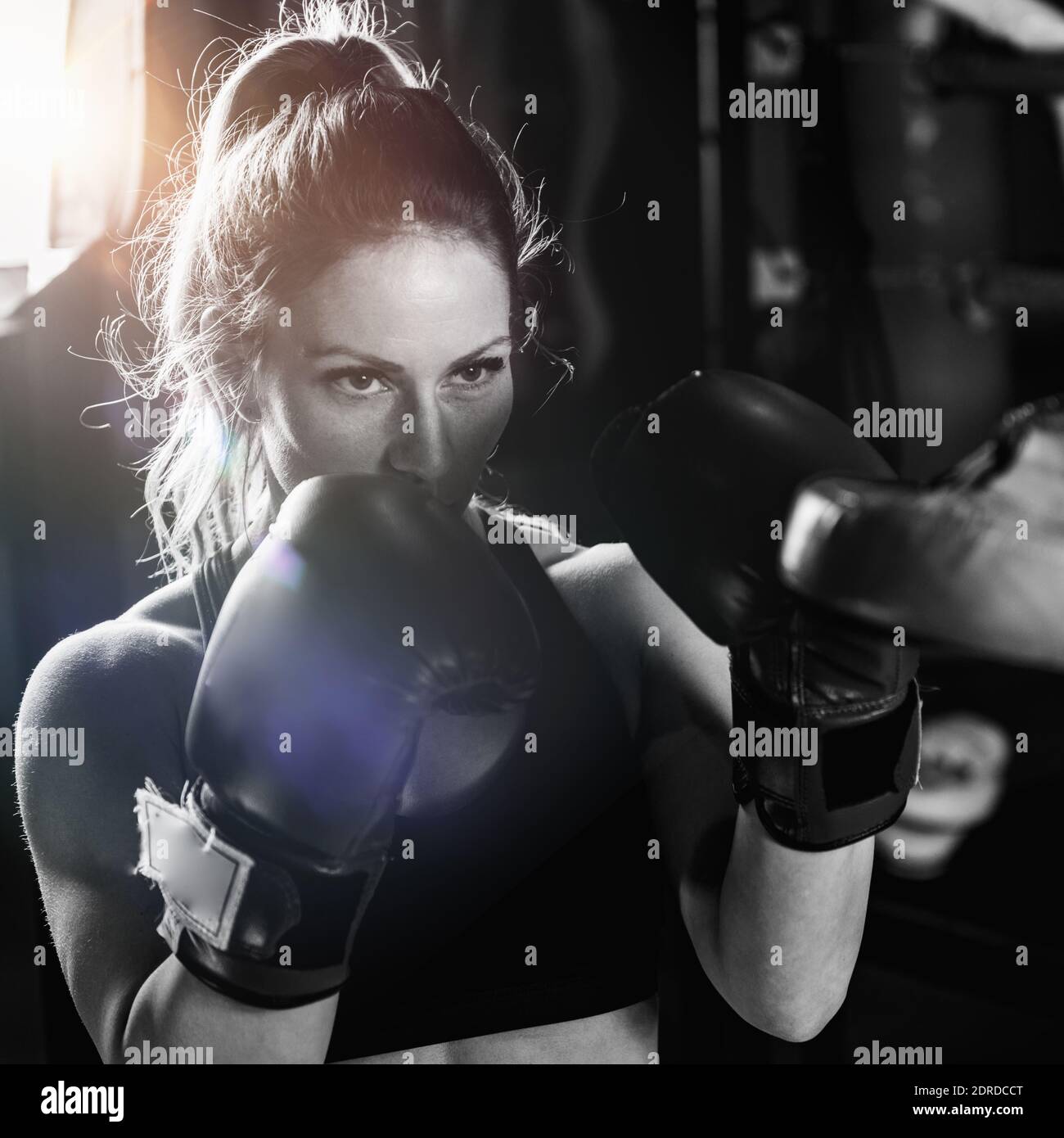 Women On Boxing Training Stock Photo Alamy