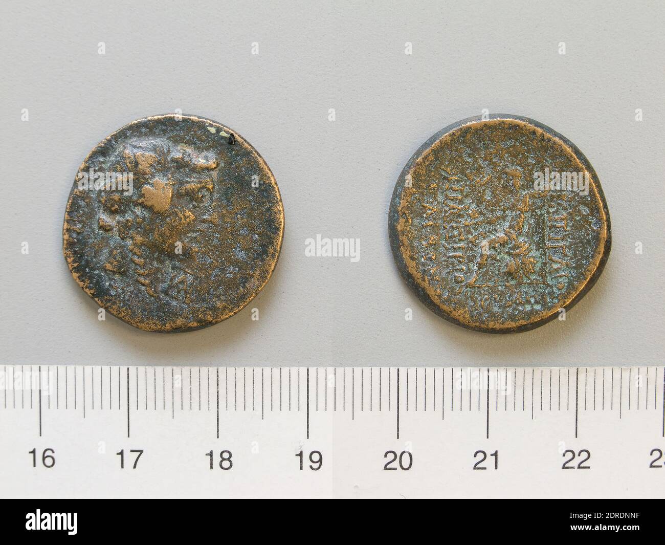 C papirius carbo hi-res stock photography and images - Alamy