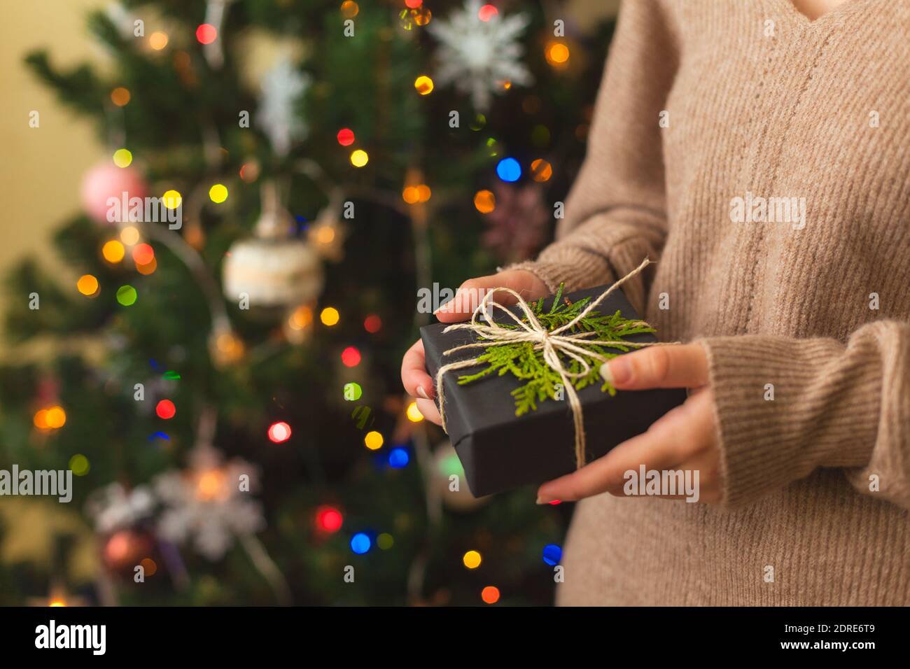 Womans hands holding nice present wrapped in black paper and decorated with green branch, Christmas tree on background Stock Photo