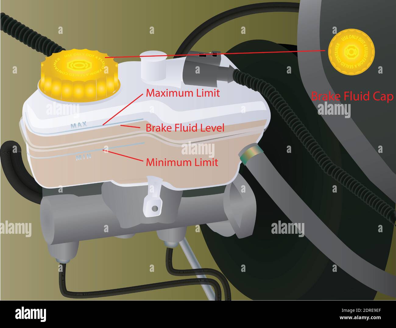 Vector Illustration of Brake Fluid Level Checking on Vehicle Stock Vector