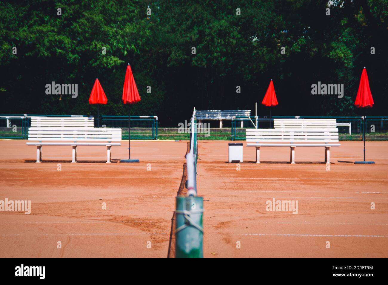 Benches On Court Against Trees Stock Photo