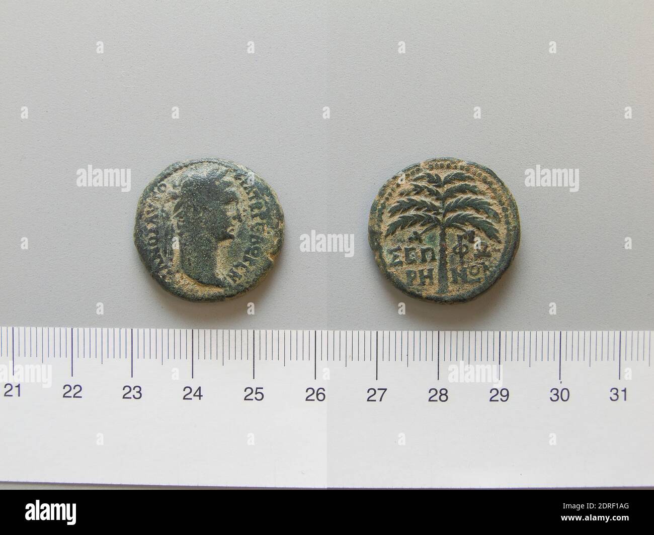 Ruler: Trajan, Emperor of Rome, A.D. 53–117, ruled 98–117, Mint: Sepphoris, Coin of Trajan, Emperor of Rome from Sepphoris, A.D. 98–117, Copper, 12.34 g, 12:00, 24.5 mm, Made in Sepphoris, Greek, 1st–2nd century A.D., Numismatics Stock Photo