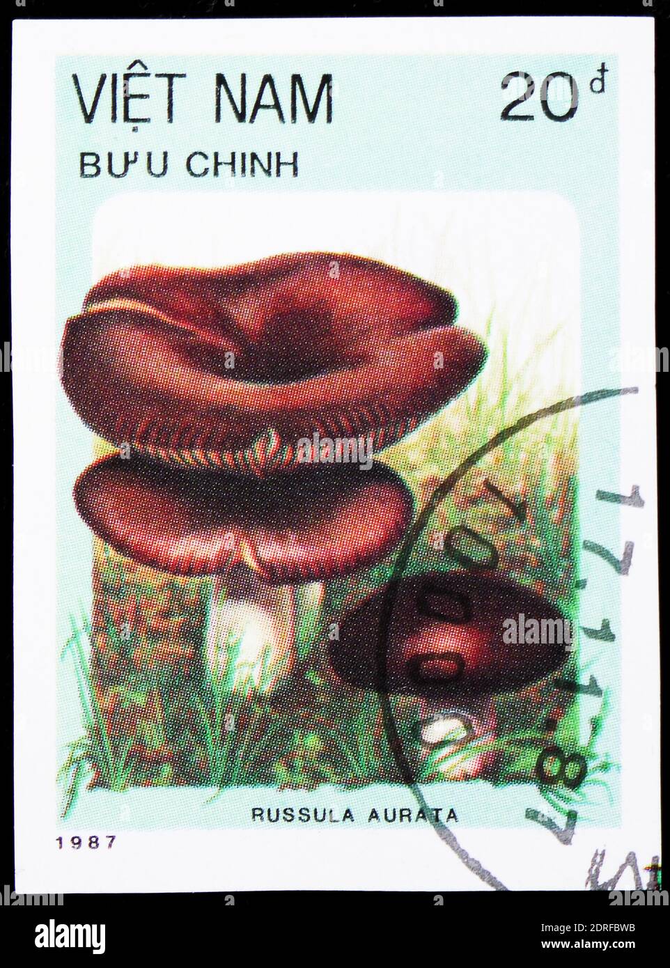 MOSCOW, RUSSIA - JANUARY 4, 2019: A stamp printed in Vietnam shows Russula aurata, Mushrooms serie, circa 1987 Stock Photo