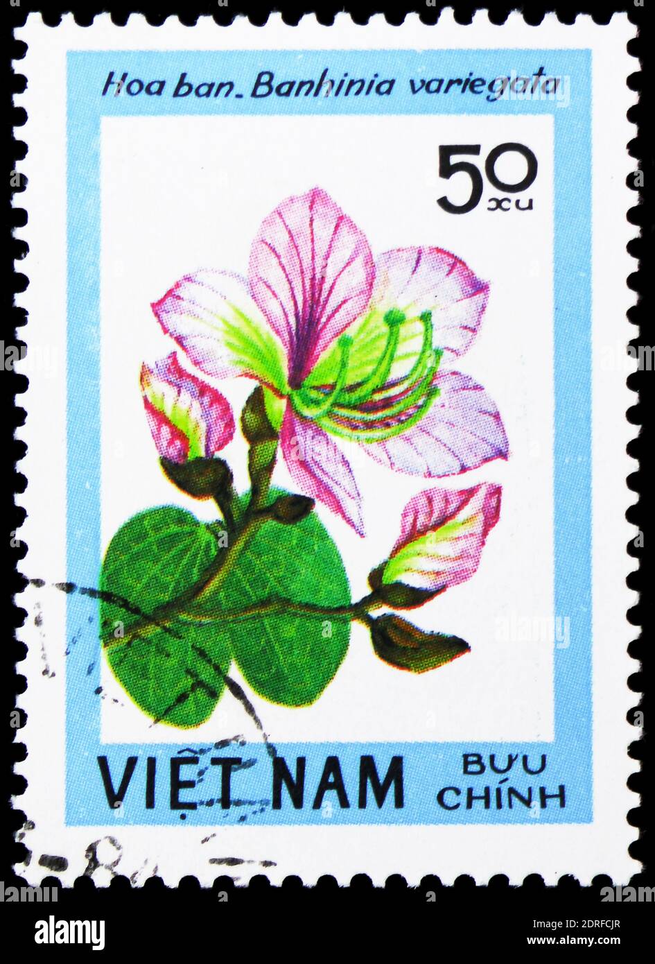 MOSCOW, RUSSIA - JANUARY 4, 2019: A stamp printed in Vietnam shows Orchid Tree (Bauhinia variegata), Blossoming Woody Plants serie, circa 1984 Stock Photo