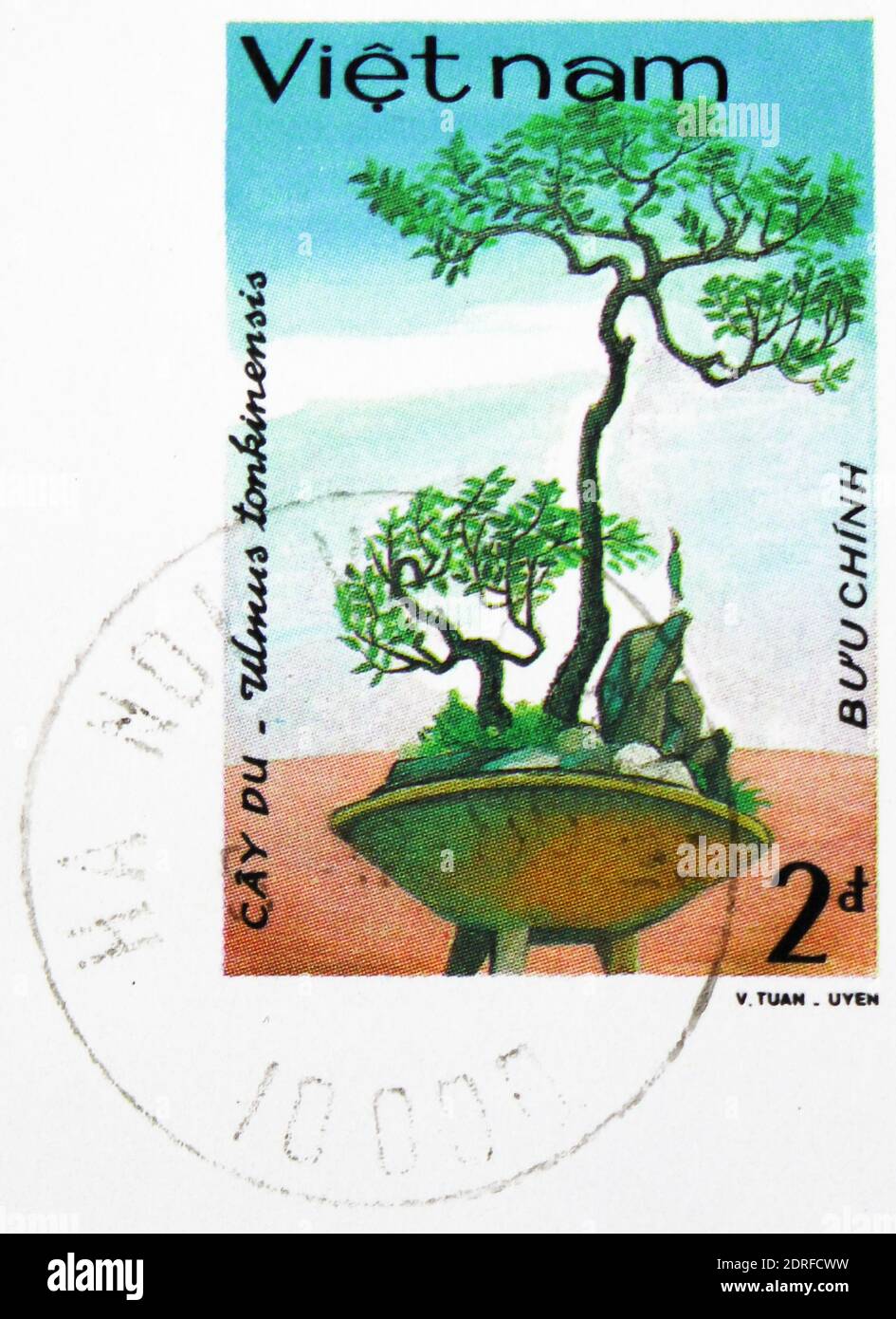 MOSCOW, RUSSIA - JANUARY 4, 2019: A stamp printed in Vietnam shows Elm (Ulmus tonkinensis), Vietnamese Bonsai serie, circa 1986 Stock Photo