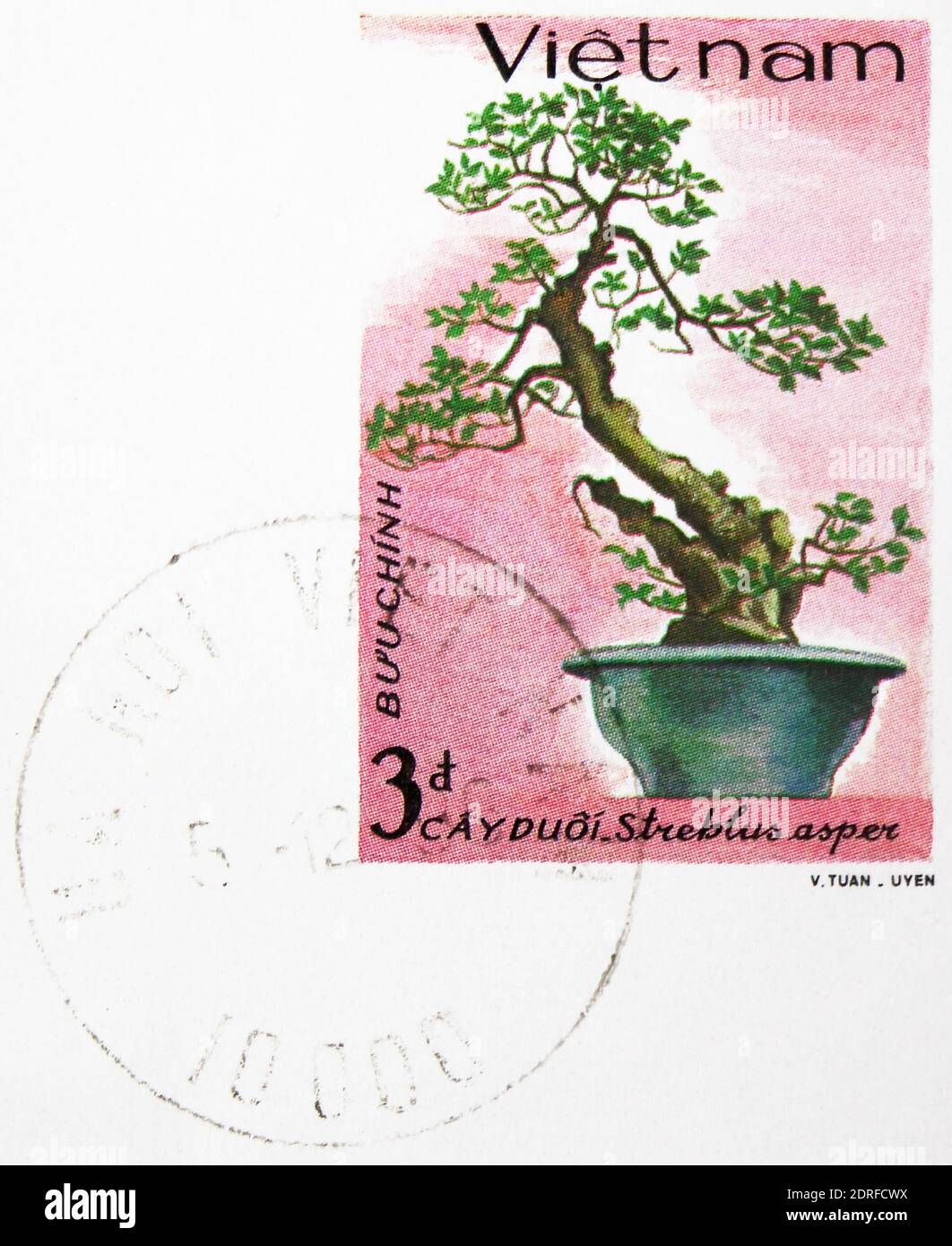 MOSCOW, RUSSIA - JANUARY 4, 2019: A stamp printed in Vietnam shows Streblus (Streblus asper), Vietnamese Bonsai serie, circa 1986 Stock Photo