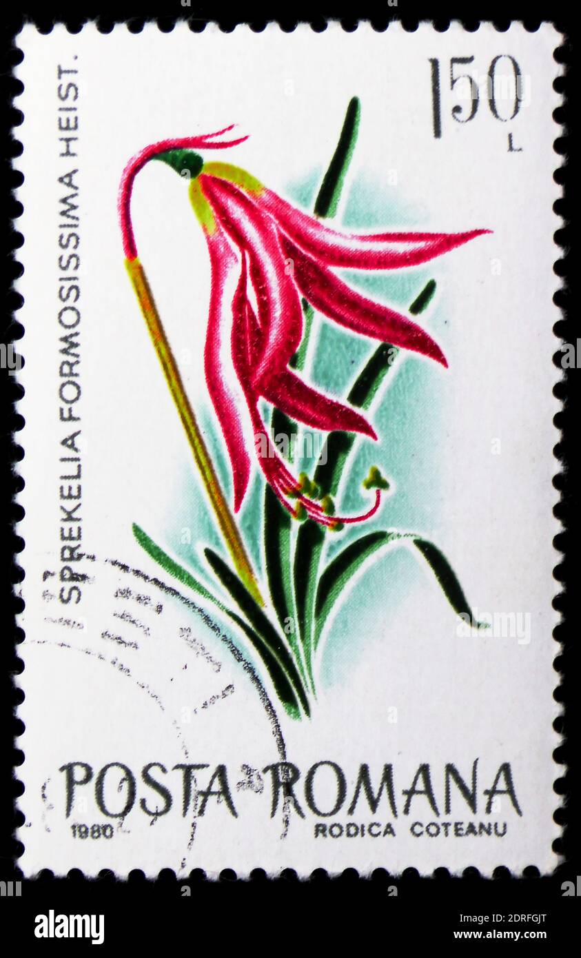 MOSCOW, RUSSIA - JANUARY 4, 2019: A stamp printed in Romania shows Jacobean Lily (Sprekelia formosissima), Flowers serie, circa 1980 Stock Photo