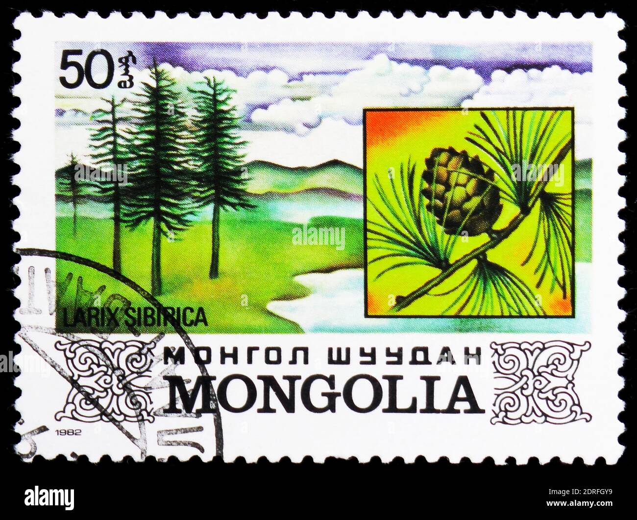 MOSCOW, RUSSIA - JANUARY 4, 2019: A stamp printed in Mongolia shows Larix sibirica, Flora serie, circa 1982 Stock Photo