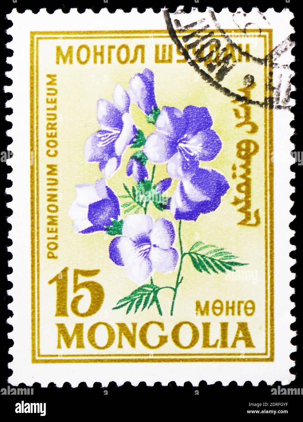 MOSCOW, RUSSIA - JANUARY 4, 2019: A stamp printed in Mongolia shows Polemonium caeruleum, Flowers serie, circa 1960 Stock Photo
