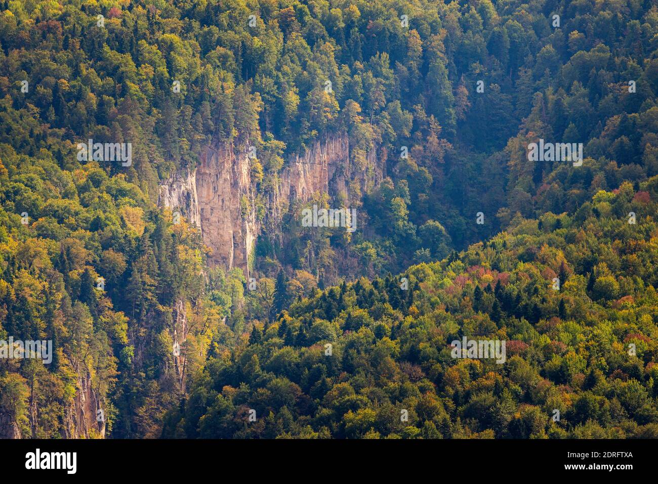 Mountain landscape. Gorge and mountains covered by forest. Stock Photo
