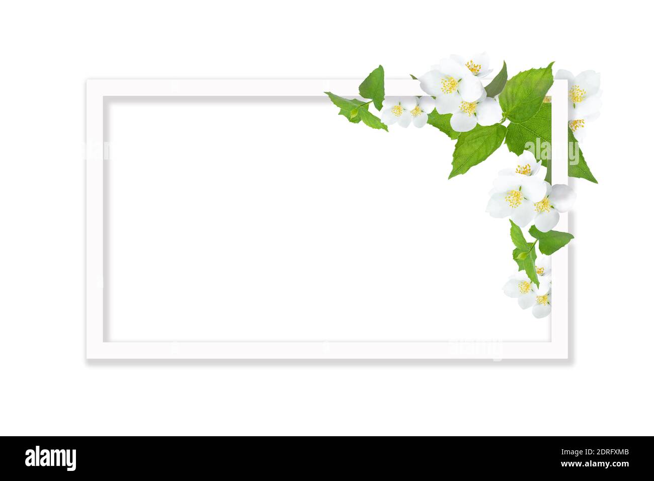 White frame with place for text on a white background with jasmine flowers and green leaves. Greeting cards, template, celebration concept Stock Photo