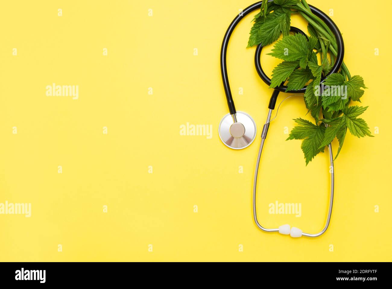 natural medicine with stethoscope and green leaves on yellow background ...