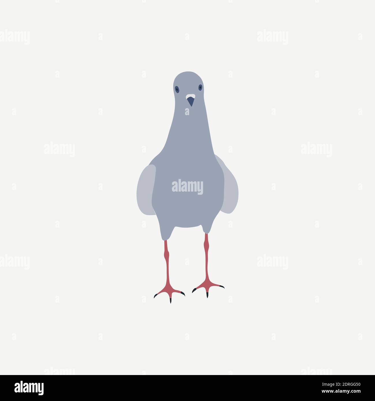 Colored pigeon dove icon vector looking forward isolated on white ...