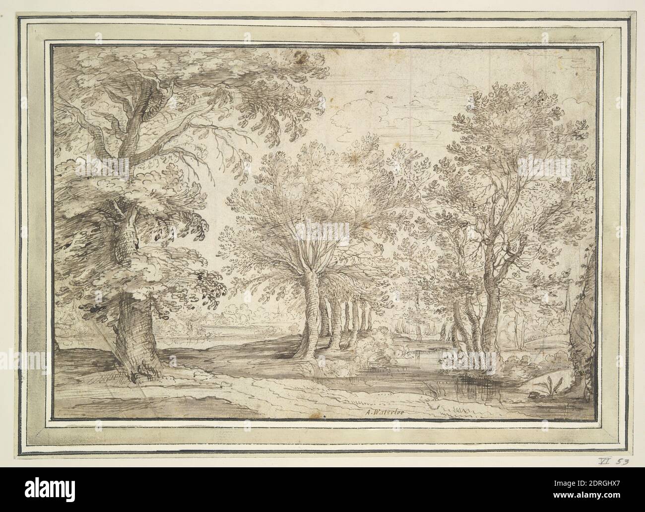 After: Denis van Alsloot, Flemish, 1570-1628, Trees onmarshy ground, Pen and brown ink and brown wash over sketch in black chalk, Sheet: 18.7 × 27.3 cm (7 3/8 × 10 3/4in.), Made in Flanders, Flemish, 17th century, Works on Paper - Drawings and Watercolors Stock Photo