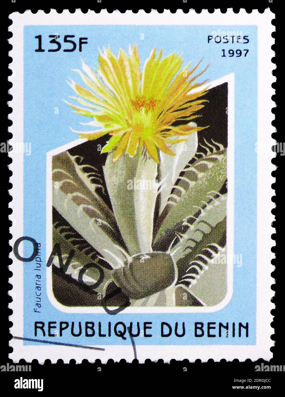 MOSCOW, RUSSIA - FEBRUARY 10, 2019: A stamp printed in Benin shows Faucaria lupina, Cacti serie, circa 1997 Stock Photo