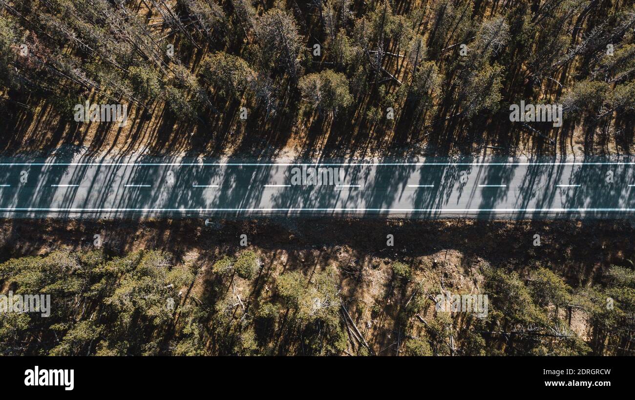 Aerial View Of Road Amidst Trees In Forest Stock Photo - Alamy