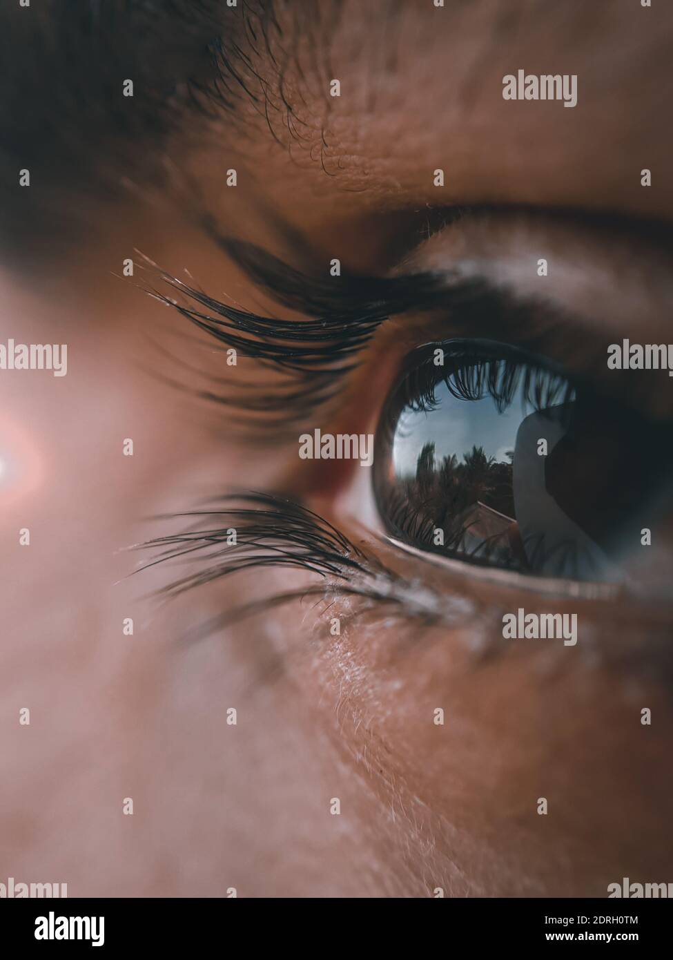 Human eye glasses close up hi-res stock photography and images - Alamy