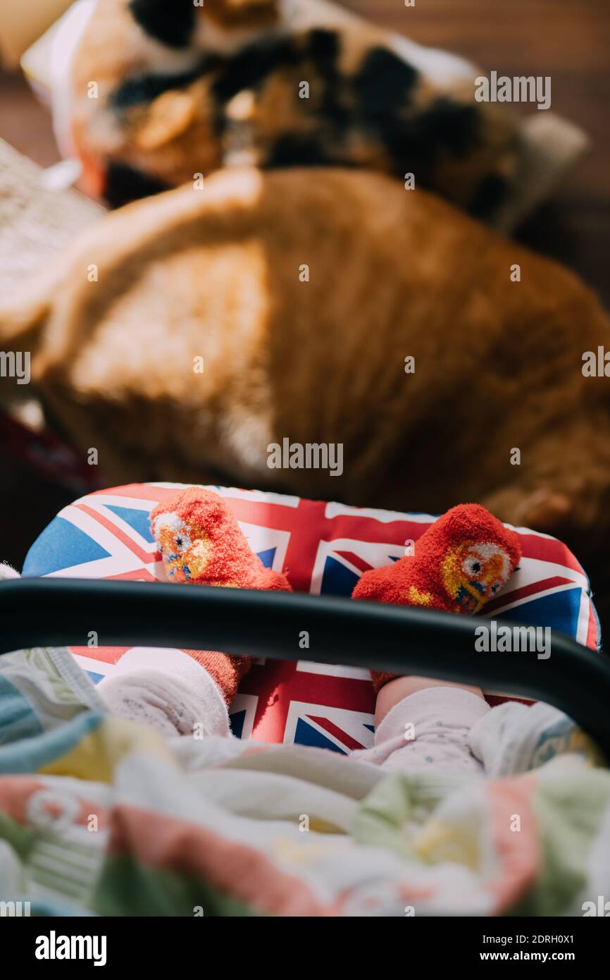 Baby wearing socks hires stock photography and images Alamy