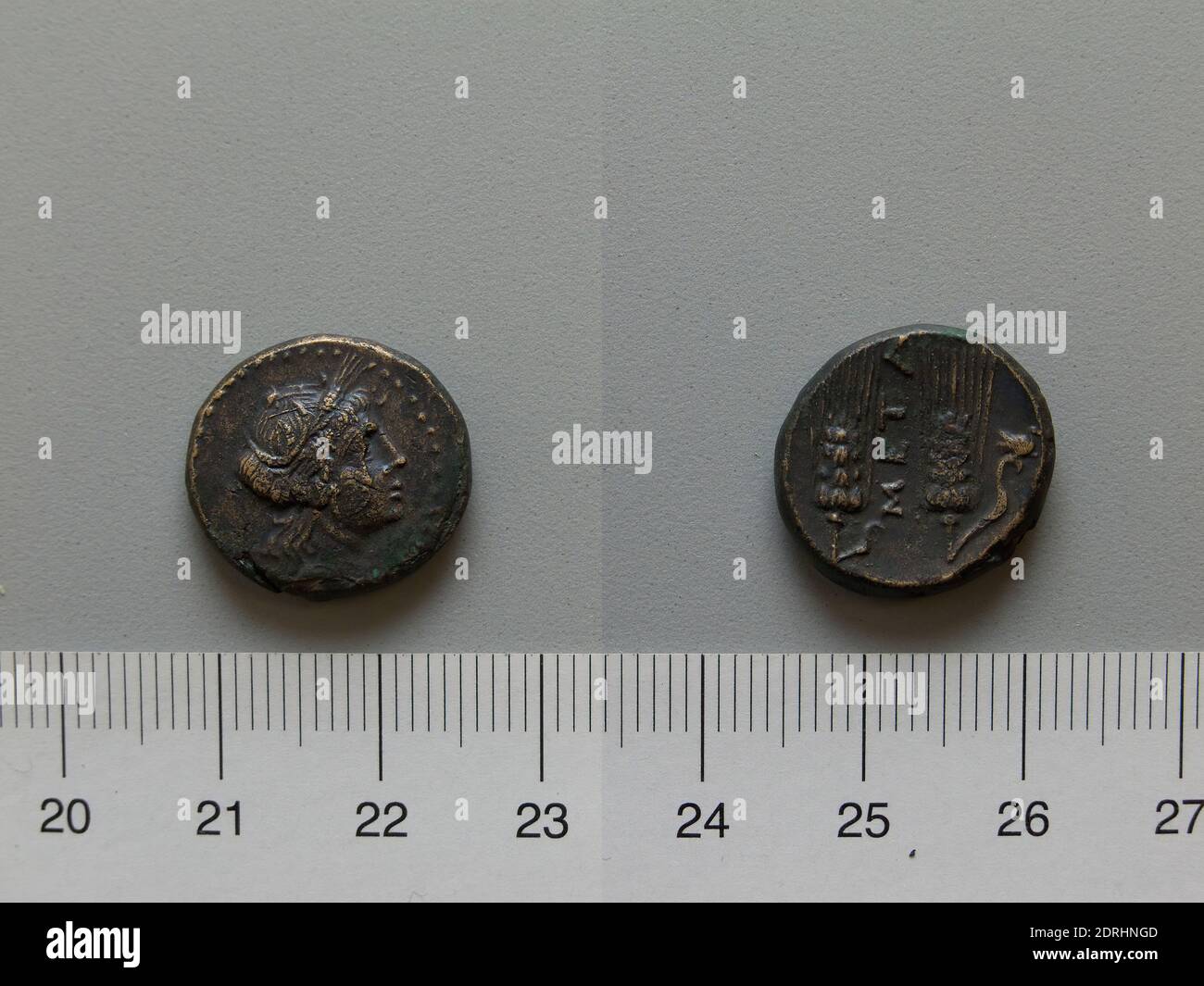 Mint: Metapontum, Fraction from Metapontum, 250–200 B.C., Bronze, 4.88 g, 1:00, 17 mm, Made in Metapontum, Lucania, Greek, 3rd century B.C., Numismatics Stock Photo