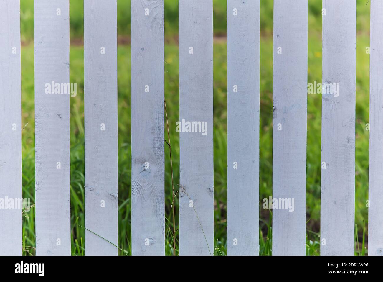 gray wooden fence and a field behind him Stock Photo - Alamy