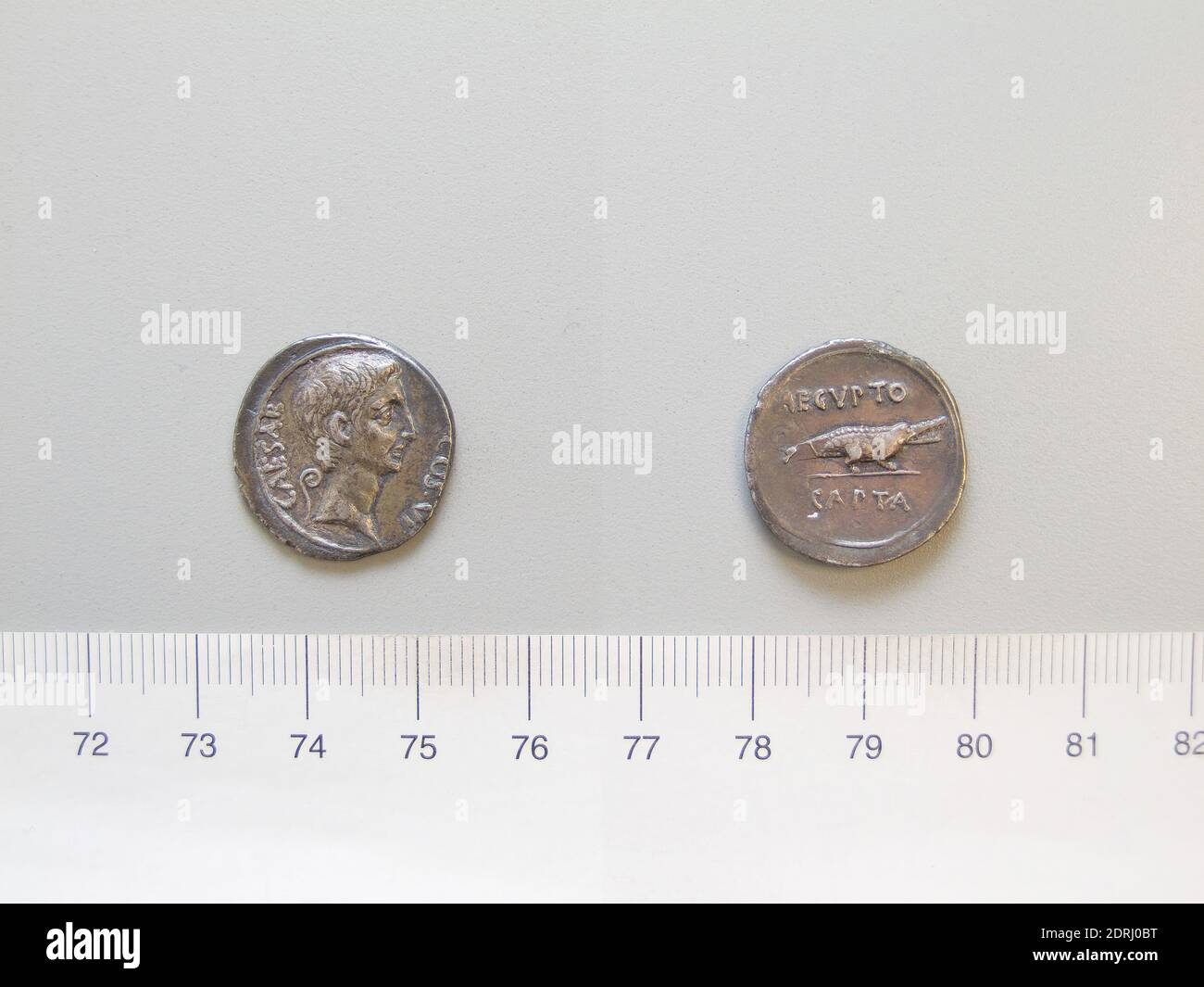その他 mint + 27 19 g hi-res stock photography and images - Page 8 - Alamy