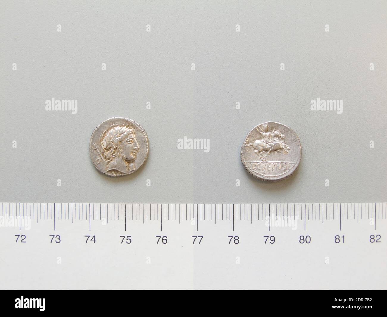 Bulletin of the British Museum (Natural History), Geology. 162 SMITH, PAUL,  GALE & DONOVAN Description. SHAPE AND SIZE. The specimens available for  study range 36-60 mm in length (mean = 47mm;