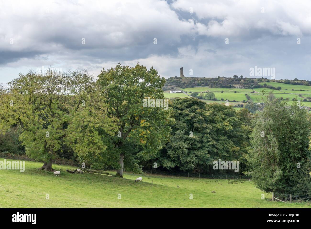 Castle Hill and Molly Carr Woods, Almondbury, Huddersfield, West