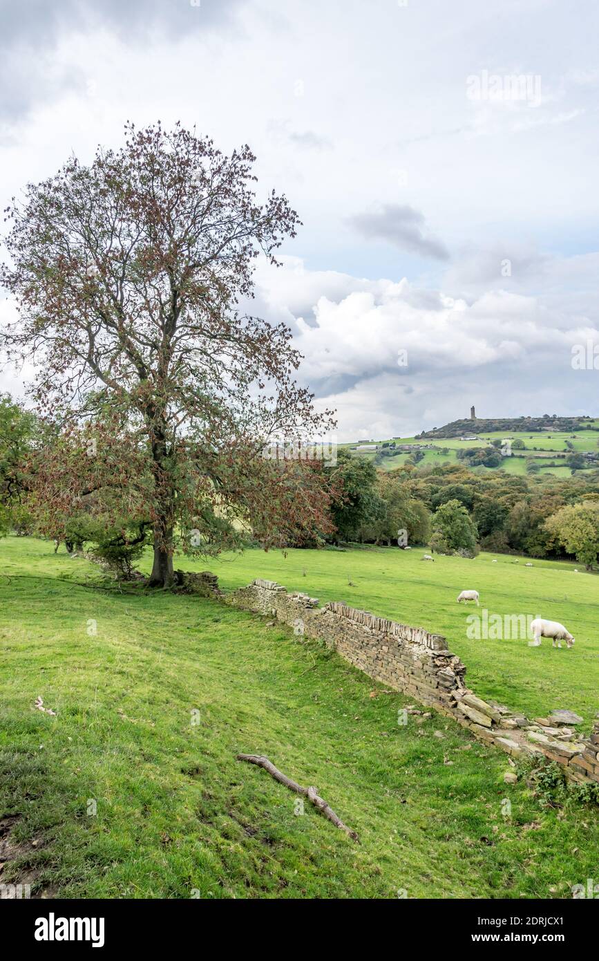 Castle Hill and Molly Carr Woods, Almondbury, Huddersfield, West