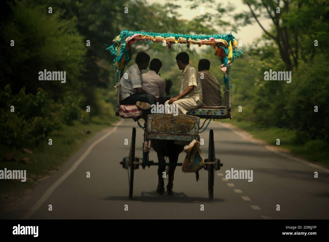 A tanga (horse-drawn hired vehicle) carrying passengers in Rajgir, Bihar, India. Stock Photo