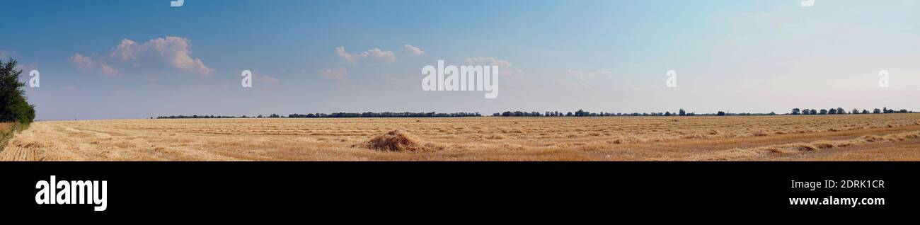 Panorama Beautiful dry stubble on the field against the sky Stock Photo ...