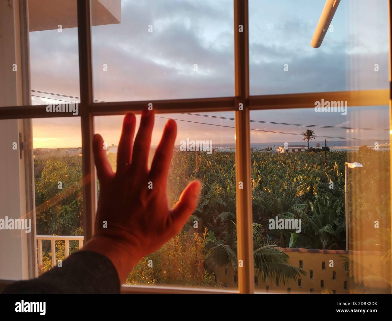Hand of man touch the transparent glass of the window at home looking the outdoor view - concept of locked without freedom - quarantine for coronaviru Stock Photo