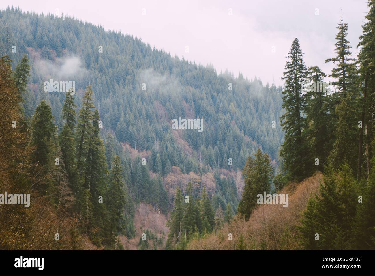 Aerial shot mountain forest hi-res stock photography and images - Alamy