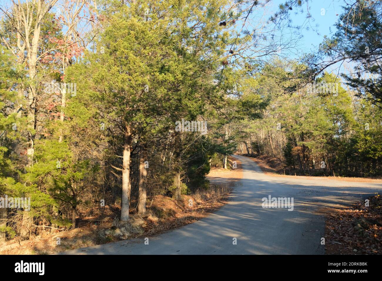 Kentucky country road hi-res stock photography and images - Alamy