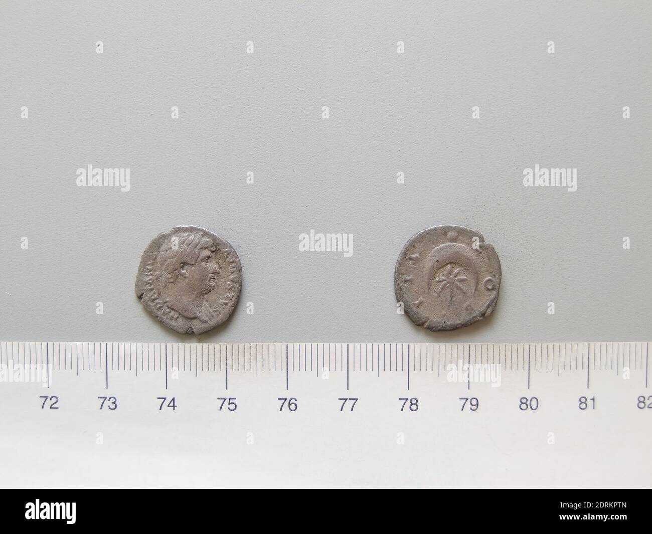 うさ ウォールセンサーライト（うさぎ）｜郵便局のネットショップ