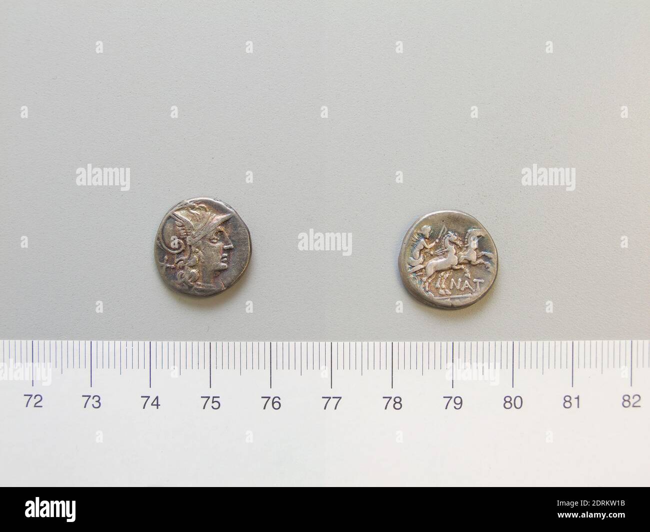 Mint: Rome, Magistrate: NAT, Denarius from Rome, 155 B.C., Silver, 3.76 g, 1:00, 17 mm, Made in Rome, Italy, Roman, 2nd century B.C., Numismatics Stock Photo