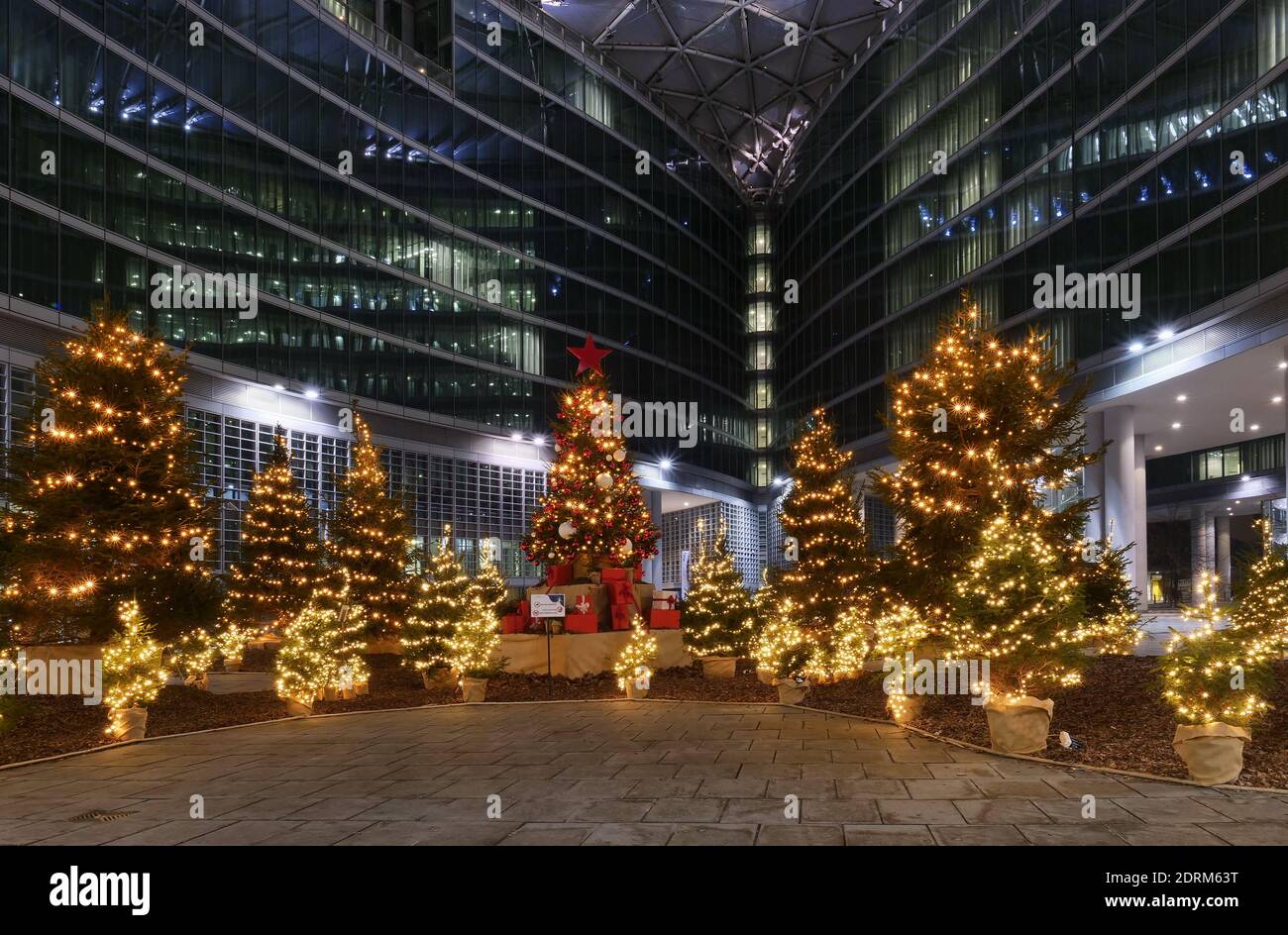 Christmas trees under Lombardy palace region in Milan, Lombardy, Italy