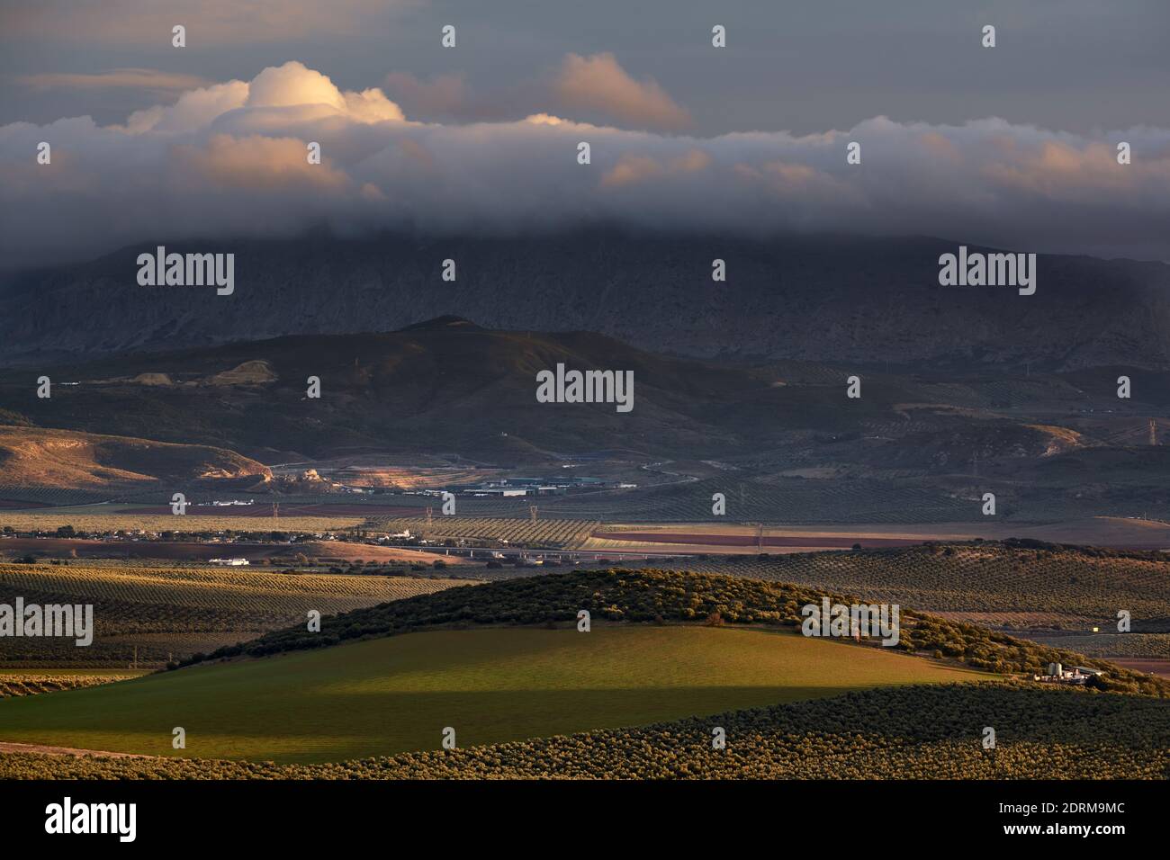 views of the fertile plain of and Torcal de Antequera in Malaga. Andalusia, Spain Stock Photo
