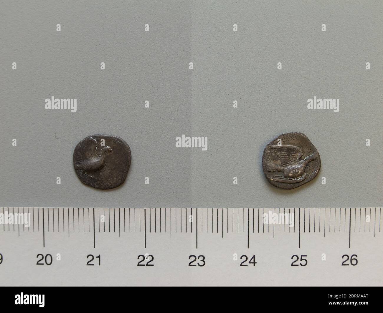 11 7 Mm High Resolution Stock Photography And Images Alamy