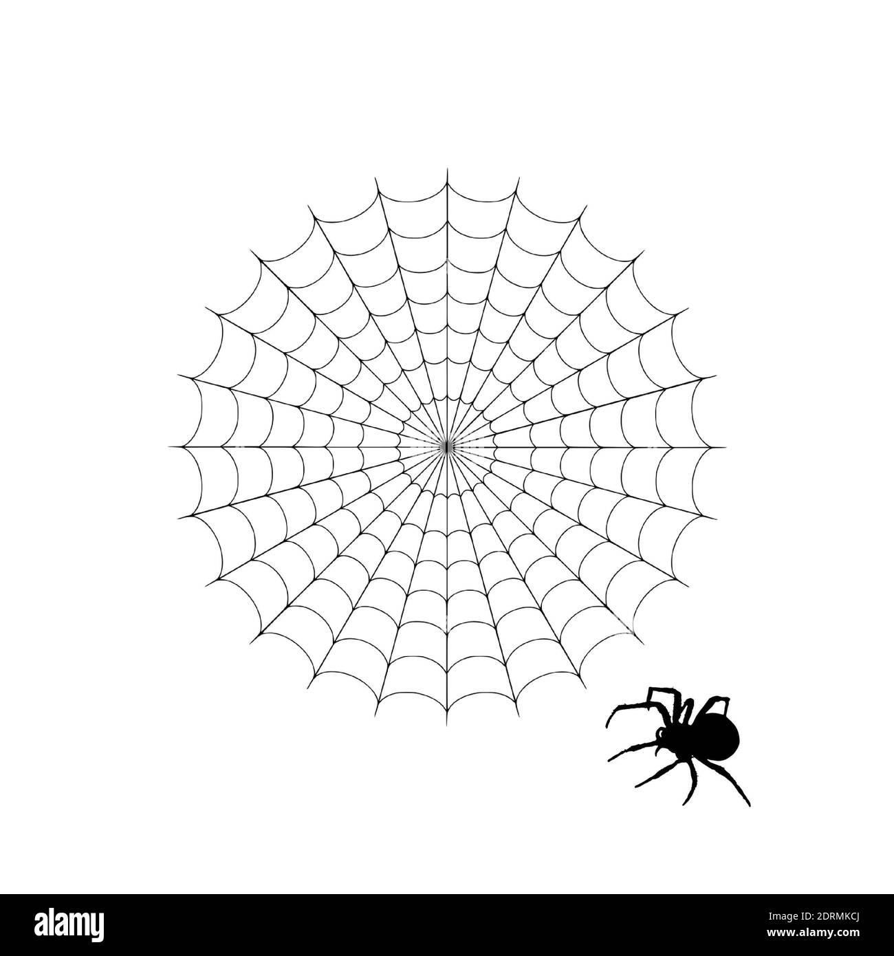 An illustration of cobweb and spider isolated on a white background - Halloween concept Stock Photo